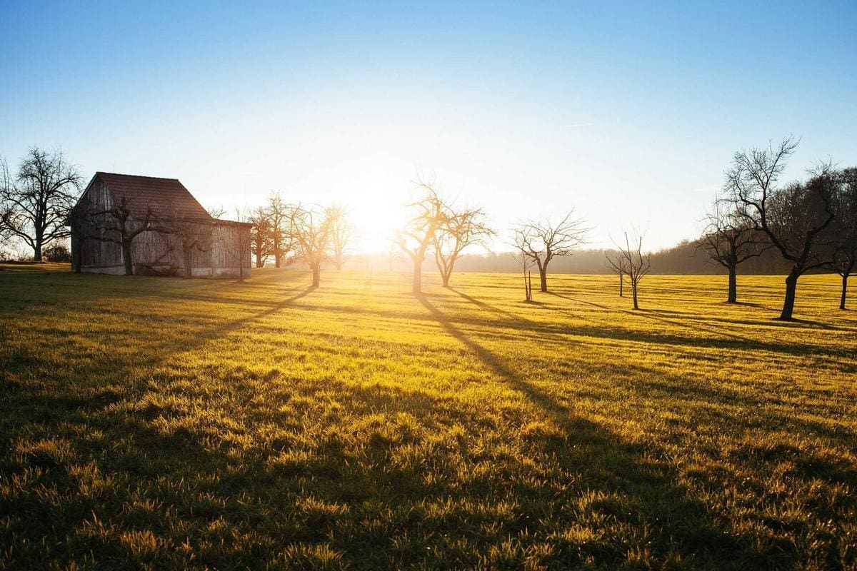 revenus hôtes Airbnb Nice 2026 | Locazurcasa